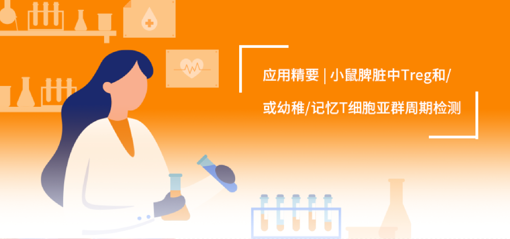 應(yīng)用精要|OMIP-079：小鼠脾臟中CD4T和CD8T的幼稚/記憶亞型和Treg亞群的周期檢測(cè)