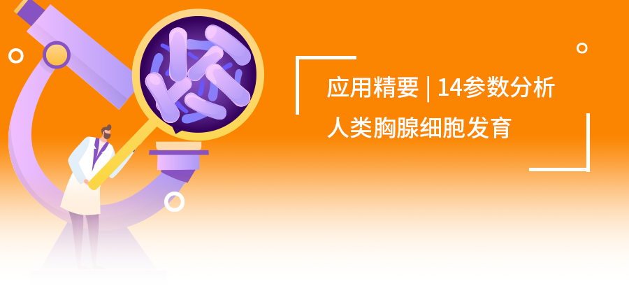 應用精要|OMIP-73：14色方案揭秘人類胸腺細胞發(fā)育圖譜